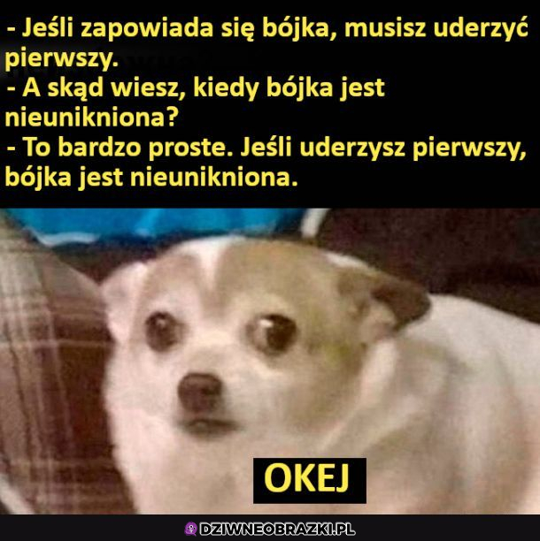Nieunikniona bójka