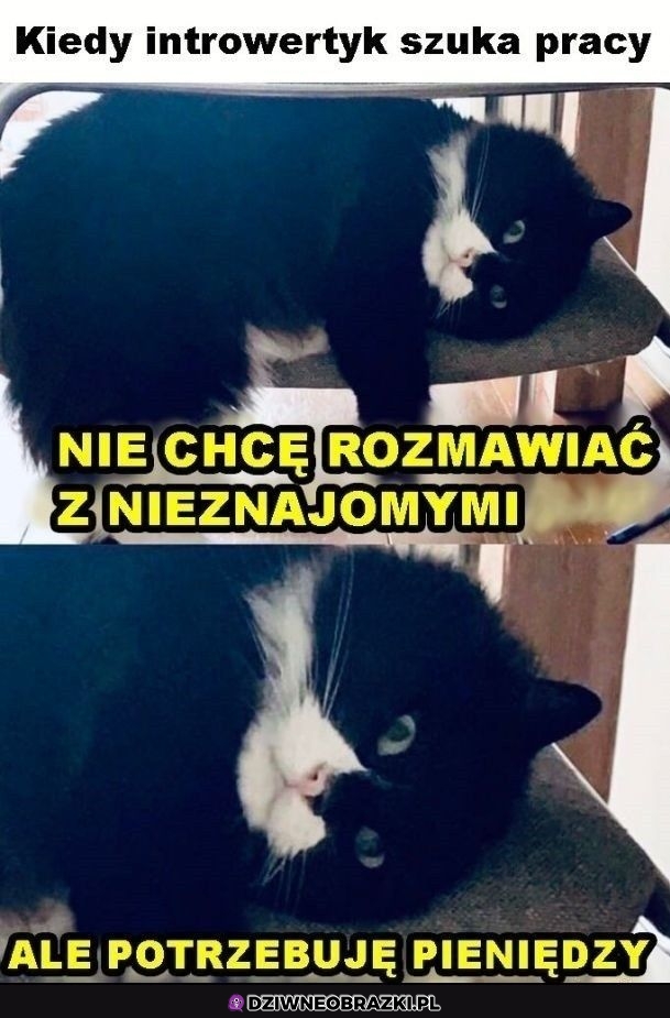 Szukanie pracy takie jest