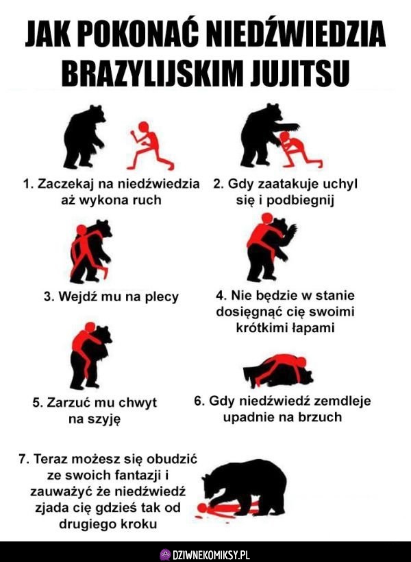 Zaatakował Cię niedźwiedź? Zrób tak!
