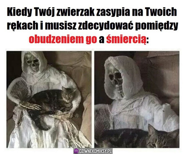 Wybór jest prosty