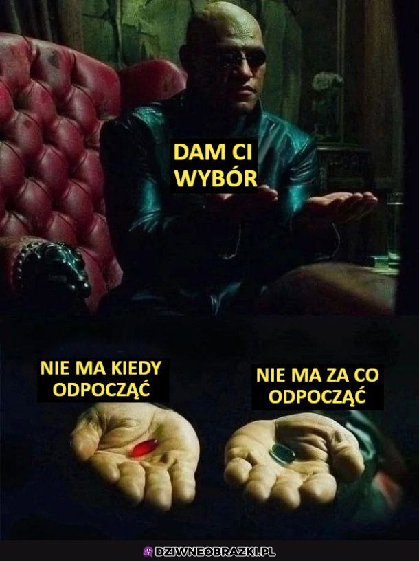Kiedy masz wybór