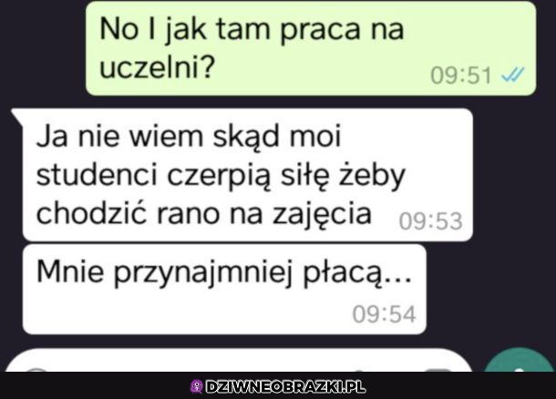 Oni też nie wiedzą czemu tam chodzą 