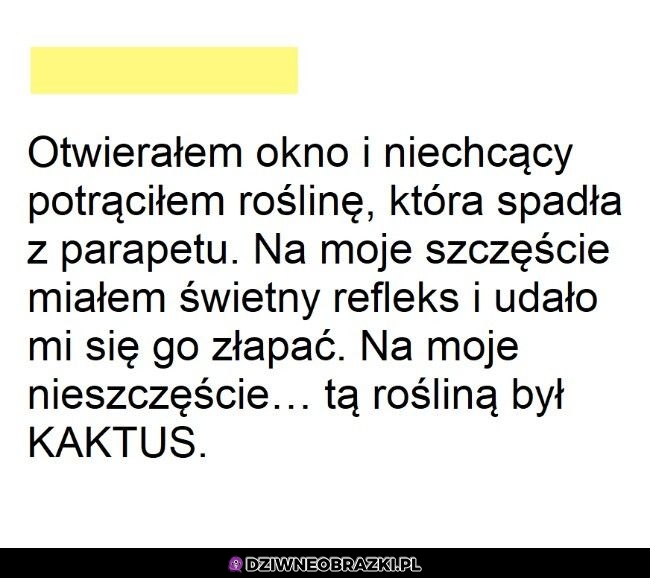 Świetny refleks