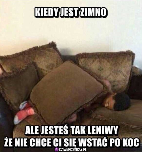Lenistwo
