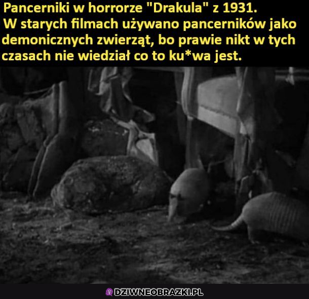 Pancerniki
