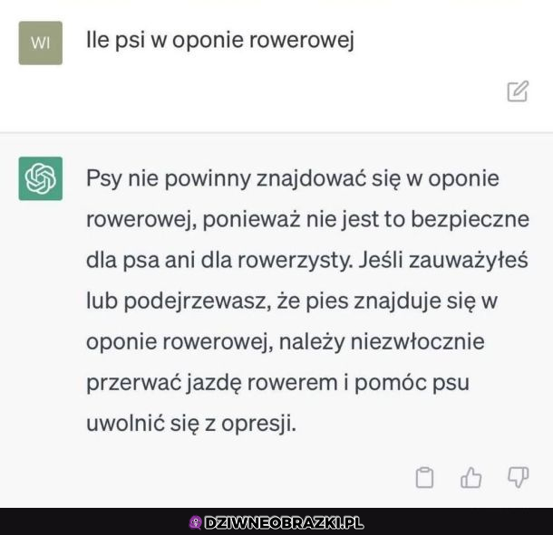 Uważajcie na psy w oponach 