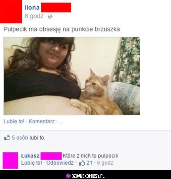 Zaorana grubaska z kotem