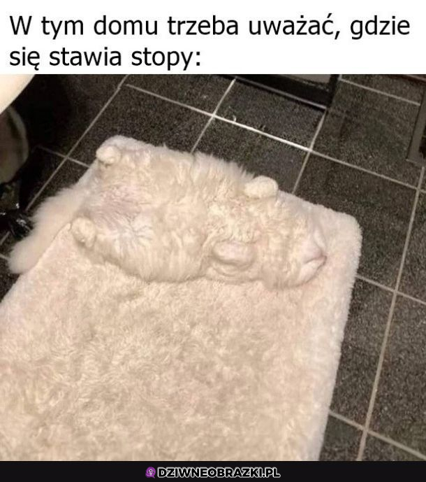 Kamuflaż