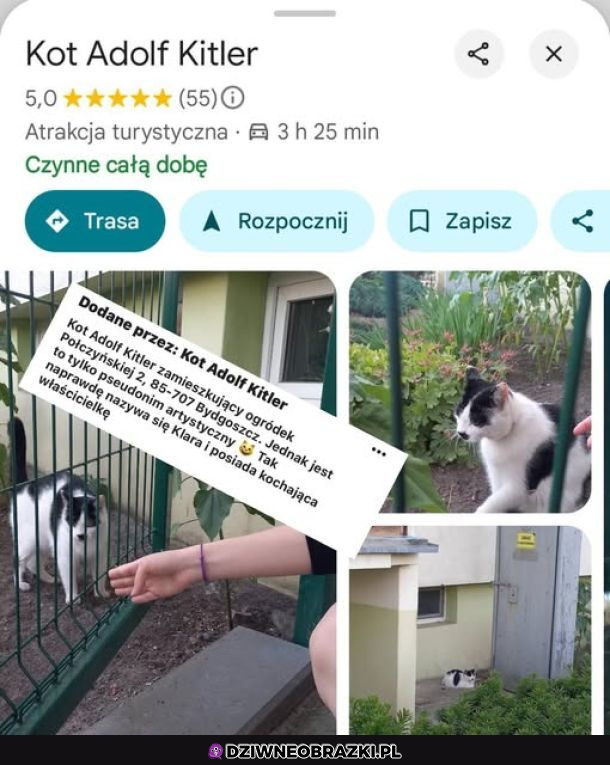 Na pewno jest artystą 