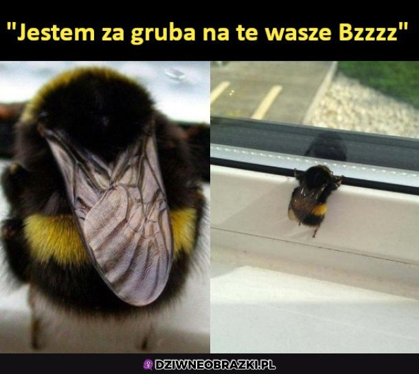 Kiedy ona jest za gruba