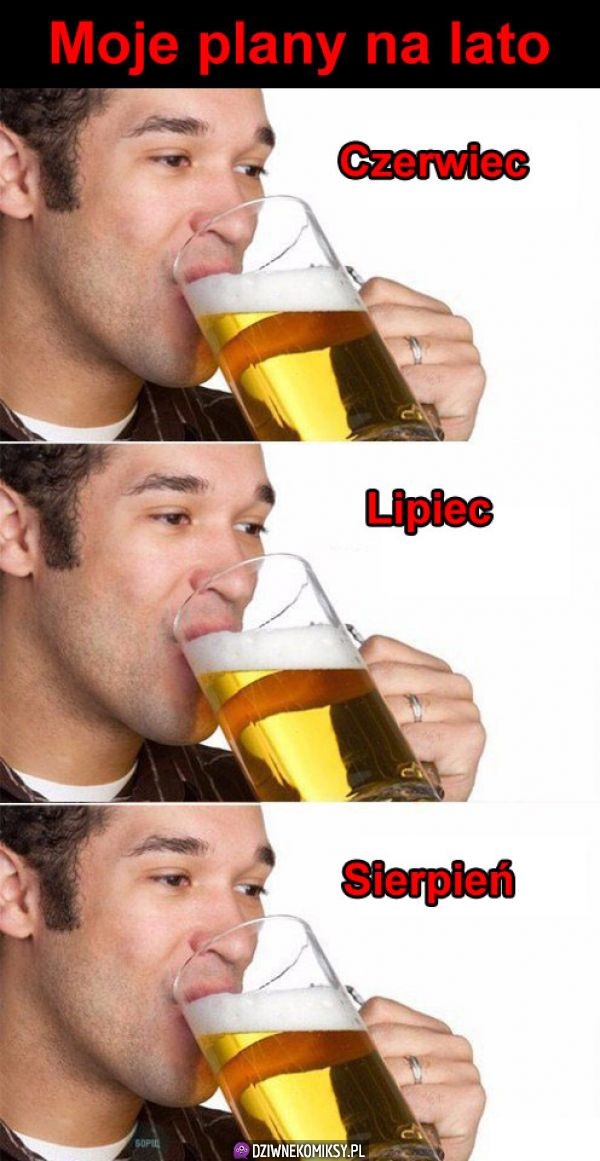 Plany na wakacje
