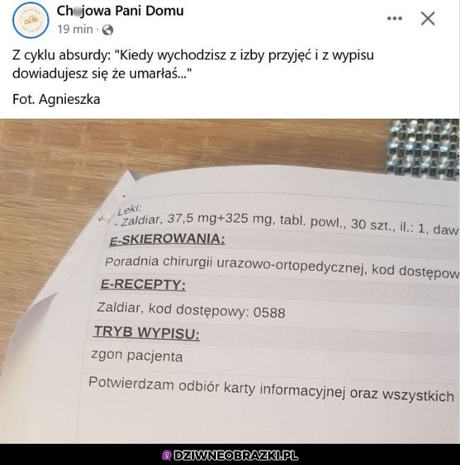 Wypis