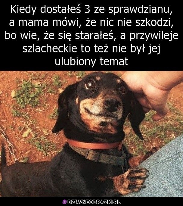 Najlepiej