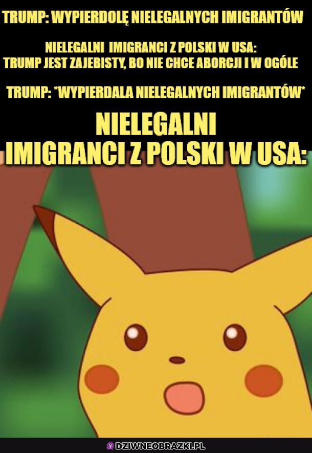Chłopaki w lekkim szoku 
