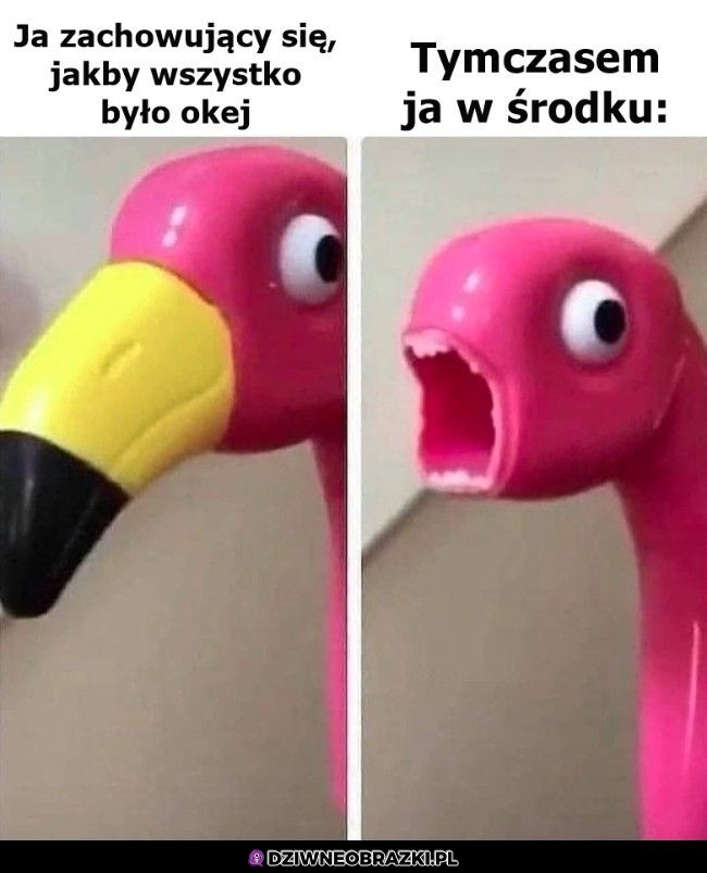 To ja
