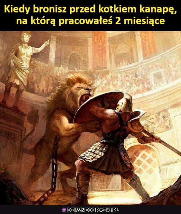 Obrona kanapy