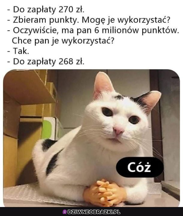 Warto było zbierać