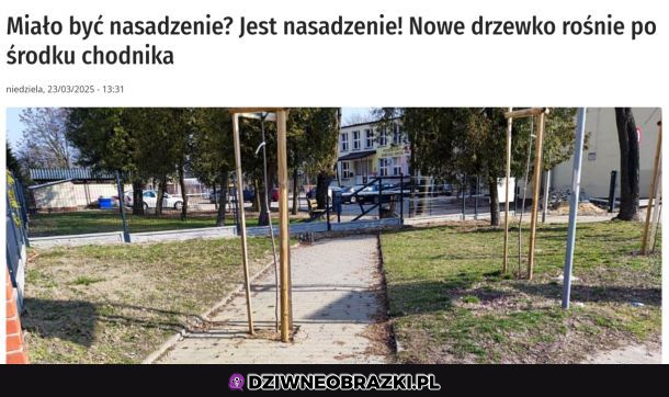 Nasadzenie