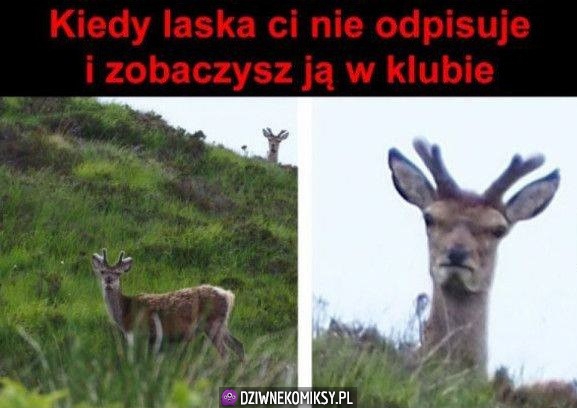 Przypał