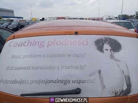 Coaching czego?