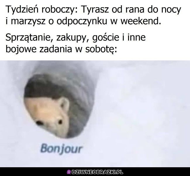Typowa sobota