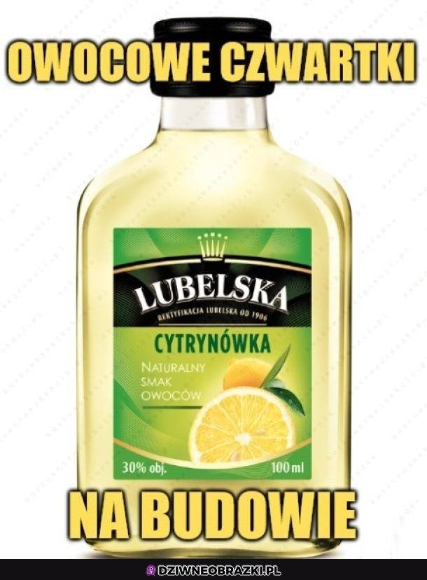 Owocek budowlańca