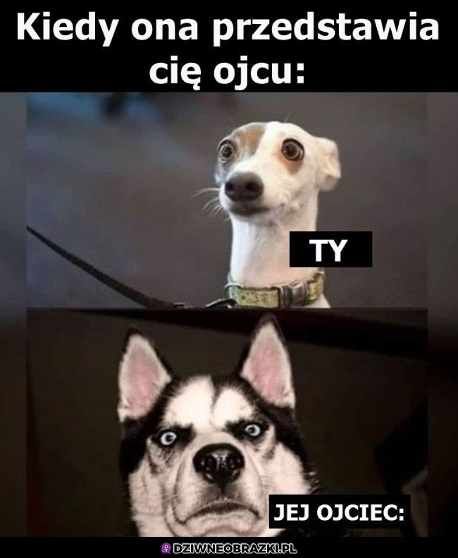 Ten moment