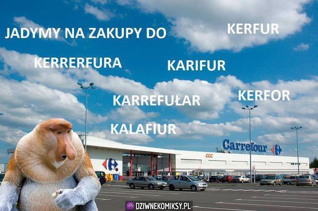 Polak i nazwa