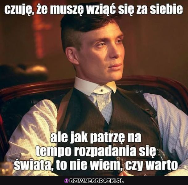 Chyba nie warto