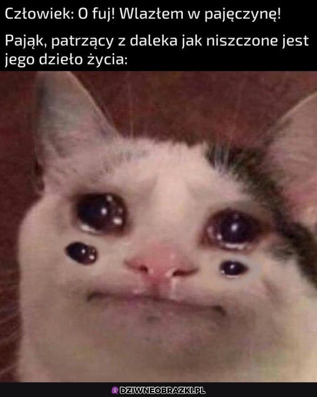 Ten moment