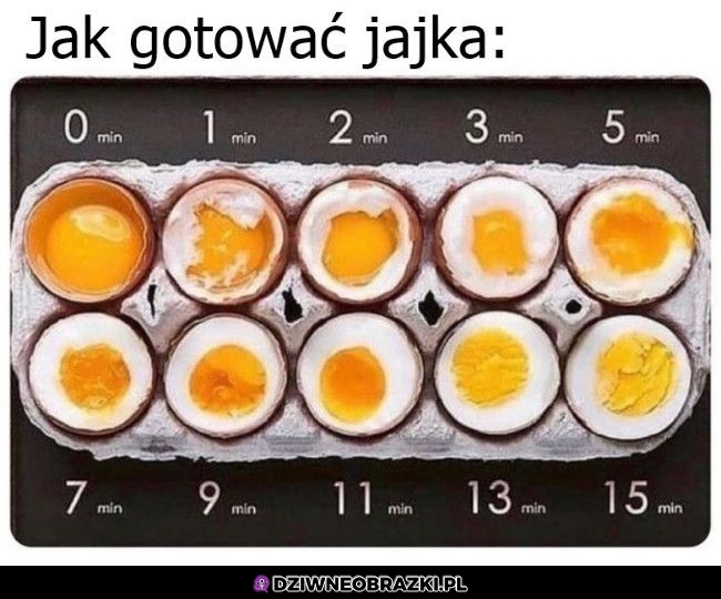 Tutorial