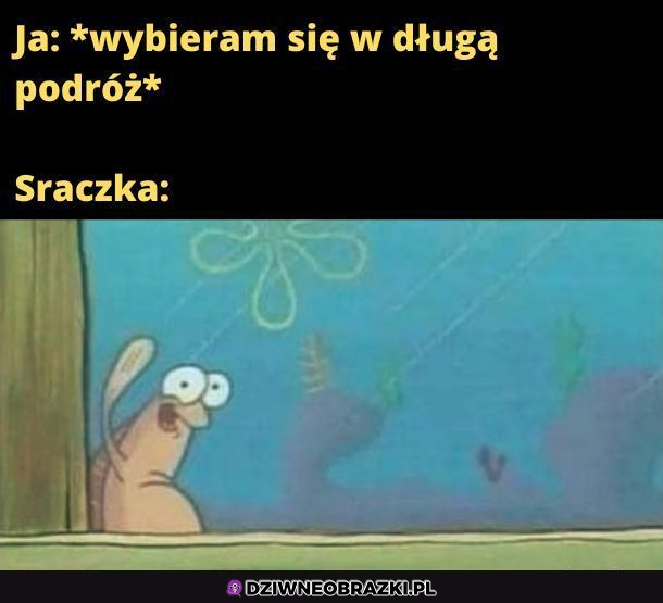Kiedy planujesz długą podróż