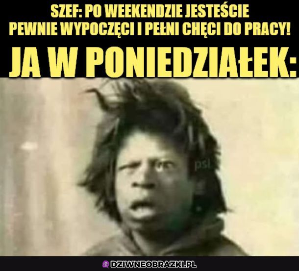 Ja w poniedziałek