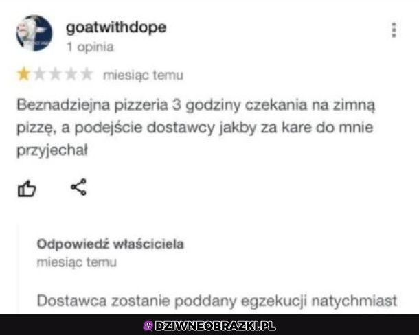 Takich odpowiedzi oczekujemy