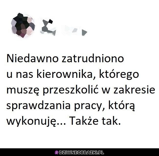 Nowy kierownik
