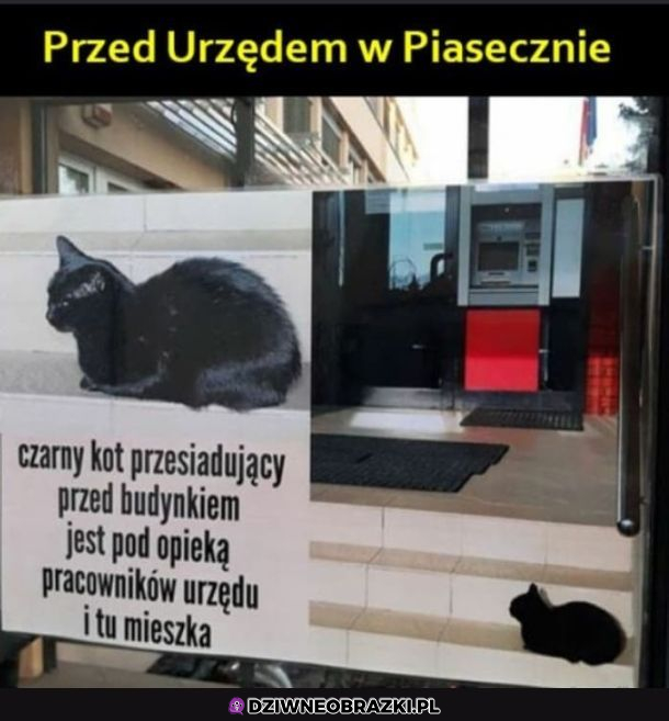 Urząd w Piasecznie