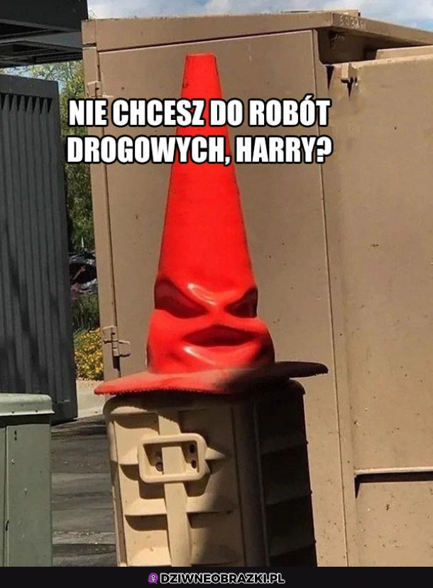 Harry?