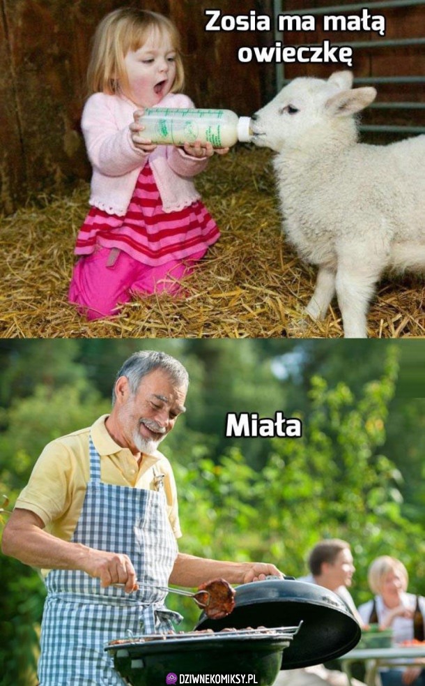 Zosia ma małą, słodziutką owieczkę