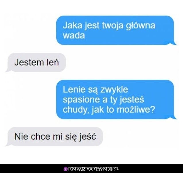 Lenistwo
