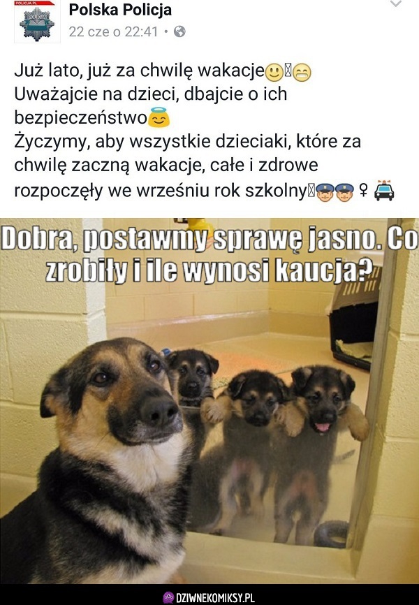 Policyjne śmieszki