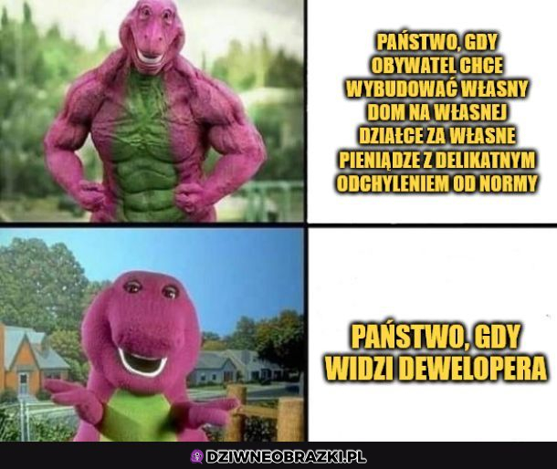 Państwo