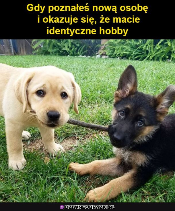 Kiedy poznasz nowego ziomka