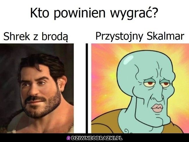 Głosuję na Shreka