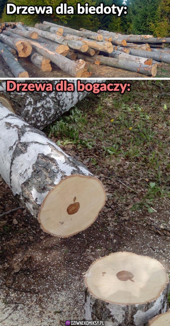 Na bogato