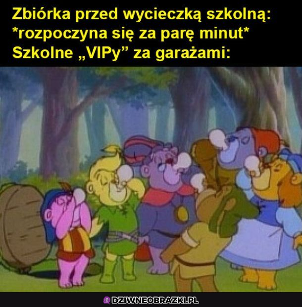 Szkolne Vipy