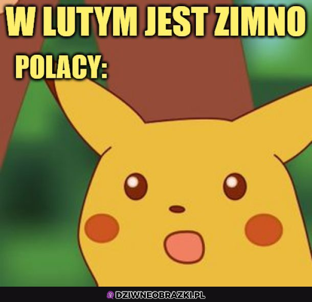 Szok