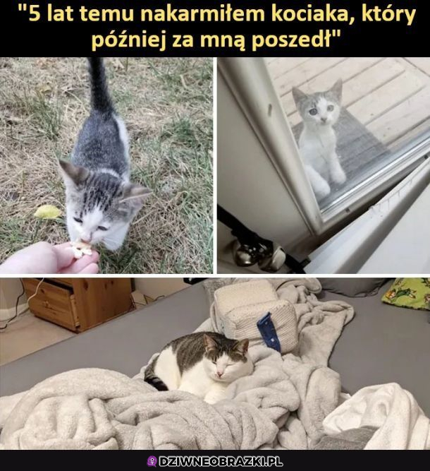 Było warto!