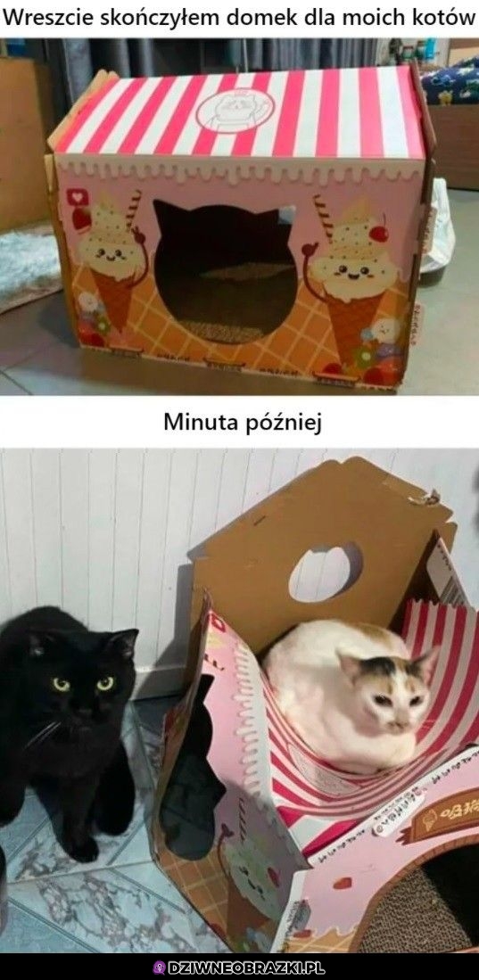 Warto było