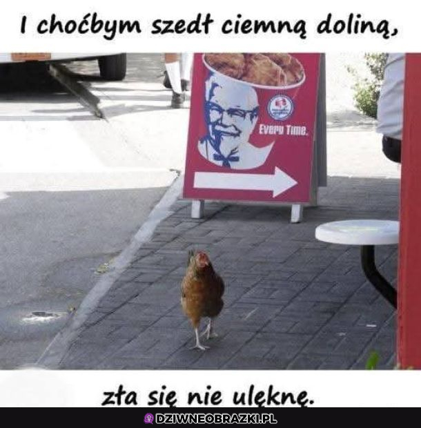 Kiedy trafisz do złej dzielni