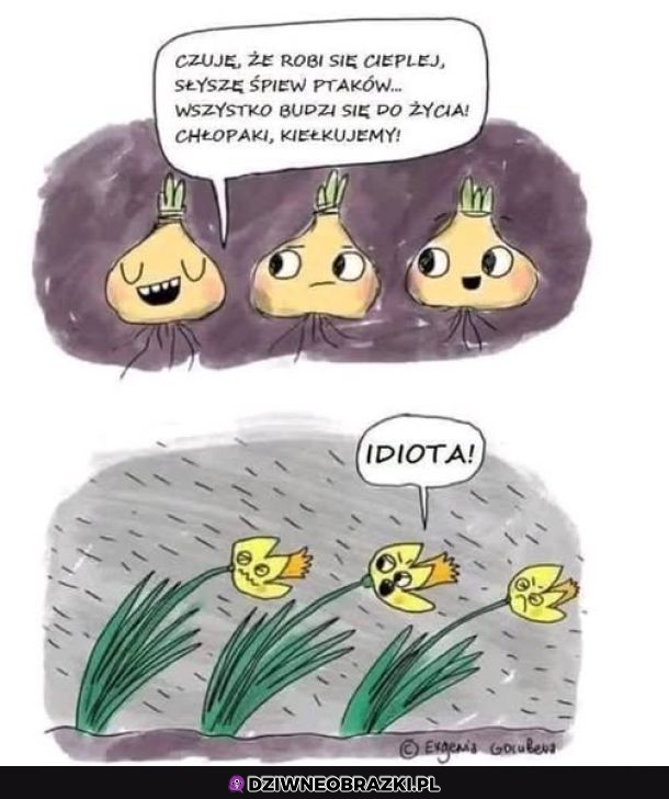 Kiedy trochę cię poniosło